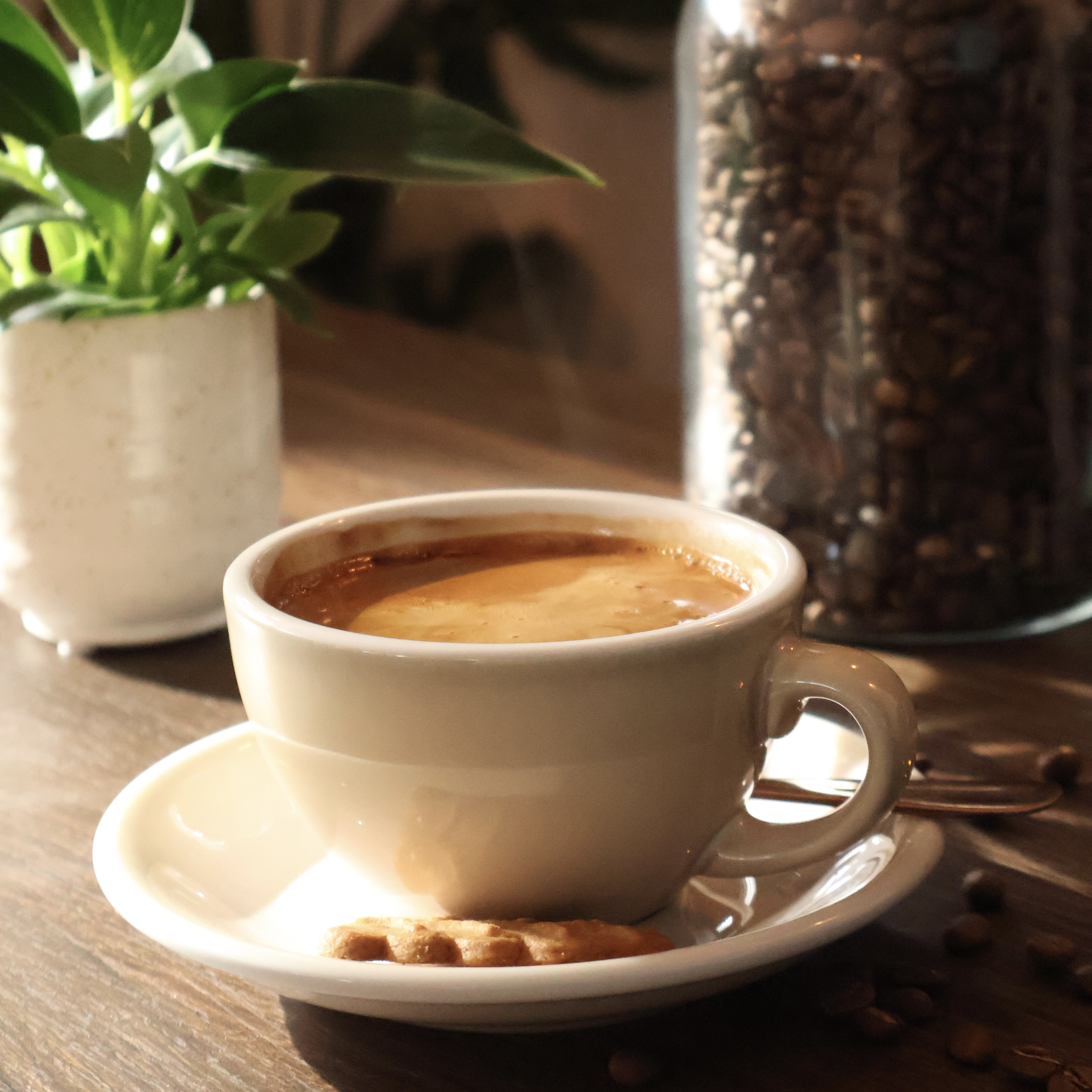 Flora Moment: Americano